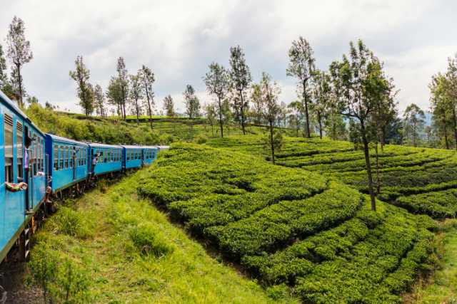 viajar con mujeres a sri lanka rumbo a ti