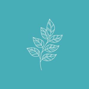 retiro para conectar con la naturaleza