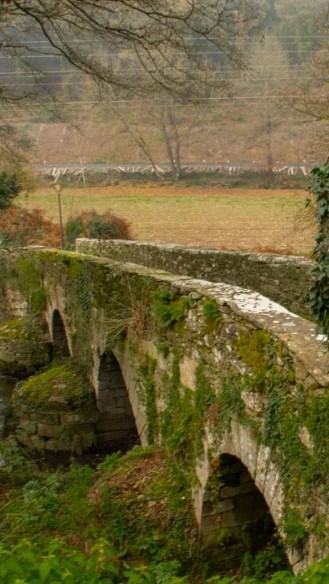 paisajes de camino de santiago para mujeres