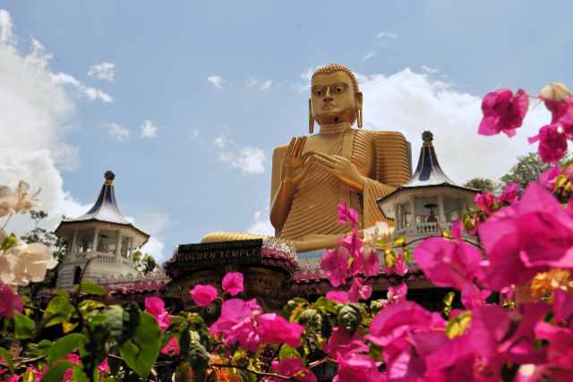 viaje con mujeres a sri lanka